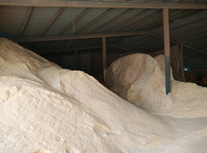 生物質顆粒燃料價格趨勢及其加工技術探析