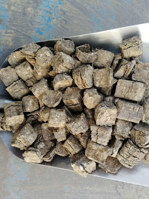 綠色能源新篇章 河南周口環(huán)保鍋爐生物質燃料的革新之路